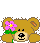 teddyflower
